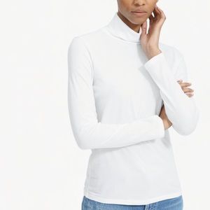 Everlane Cotton Turtleneck Tee